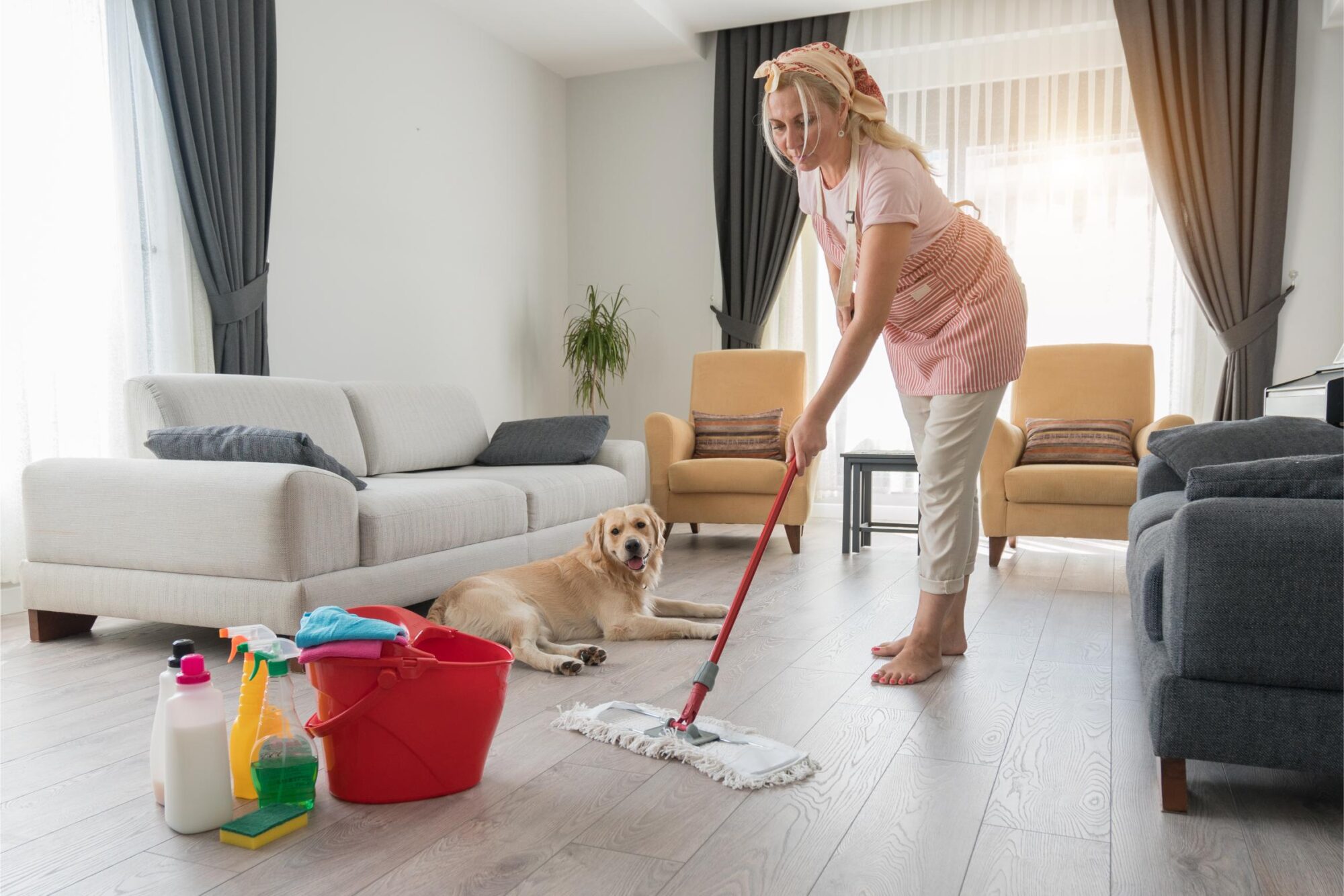 Spring Cleaning Safety for Pets: Hidden Hazards in Common Household Cleaners