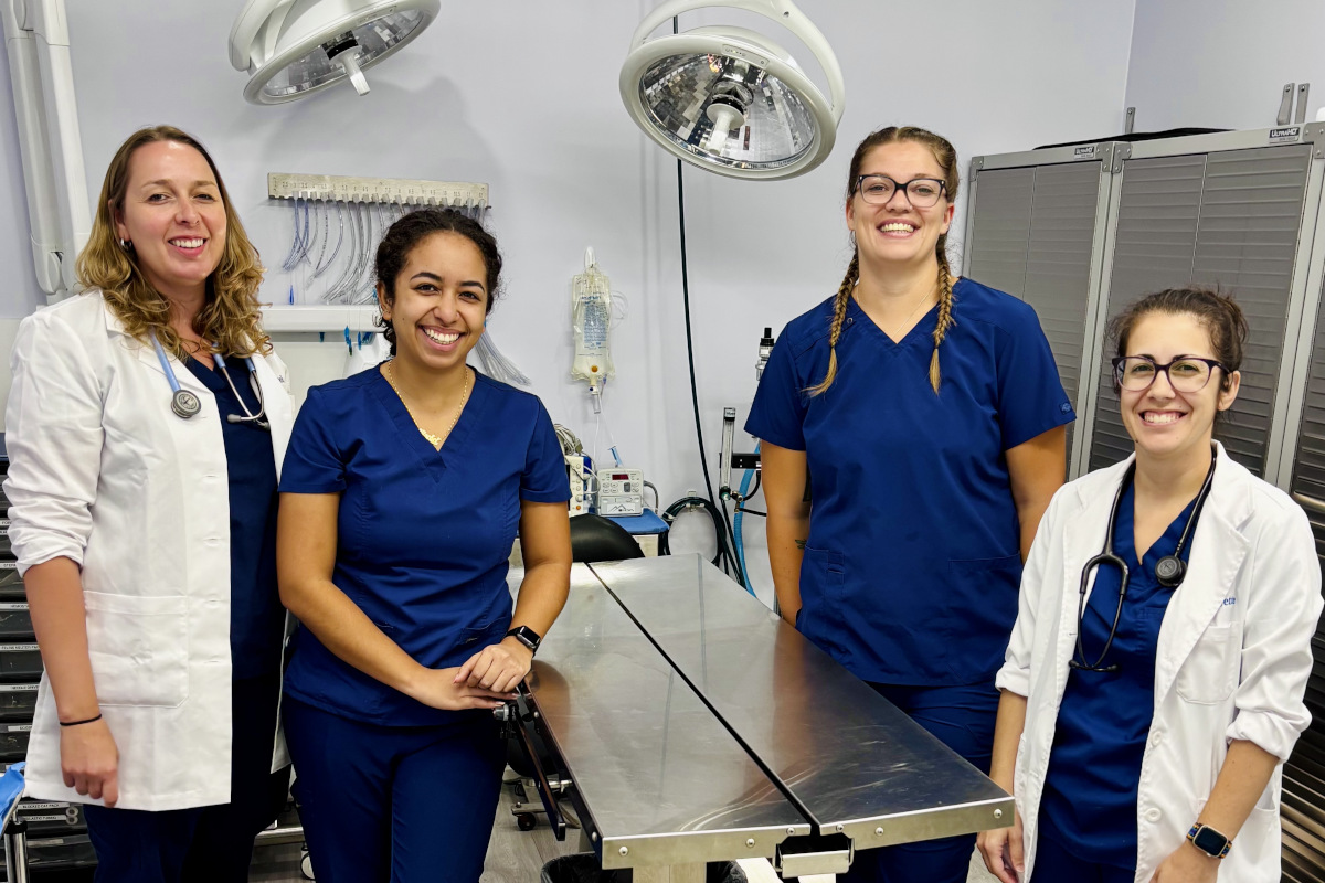 Our Surgery Team